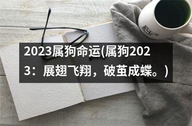 2025属狗命运(属狗2025：展翅飞翔，破茧成蝶。)