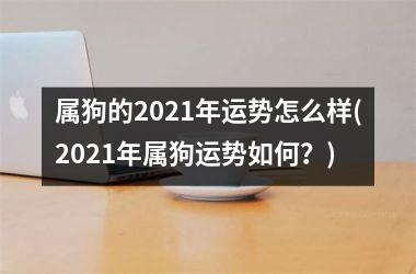 <h3>属狗的2025年运势怎么样(2025年属狗运势如何？)