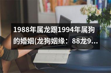 1988年属龙跟1994年属狗的婚姻(龙狗姻缘：88龙94狗)