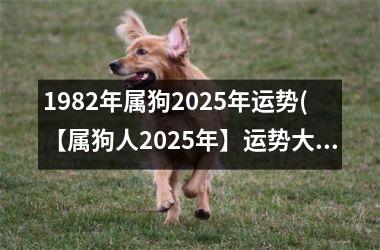 1982年属狗2025年运势(【属狗人2025年】运势大揭秘)
