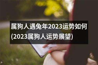 属狗人遇兔年2025运势如何(2025属狗人运势展望)