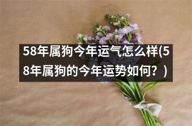 58年属狗今年运气怎么样(58年属狗的今年运势如何？)