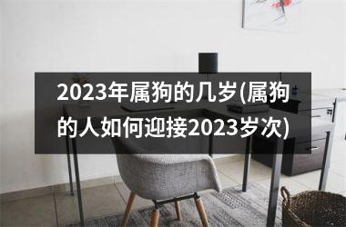 2025年属狗的几岁(属狗的人如何迎接2025岁次)