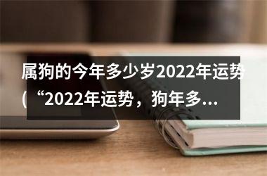 属狗的今年多少岁2025年运势(“2025年运势，狗年多大？解读属狗人的未来”)