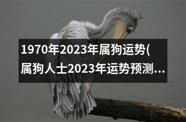 1970年2025年属狗运势(属狗人士2025年运势预测)