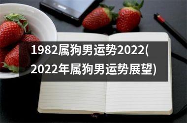 1982属狗男运势2025(2025年属狗男运势展望)