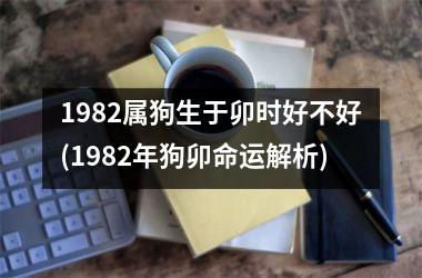 1982属狗生于卯时好不好(1982年狗卯命运解析)