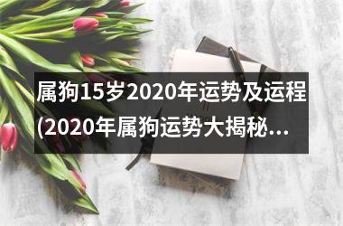 属狗15岁2025年运势及运程(2025年属狗运势大揭秘！)