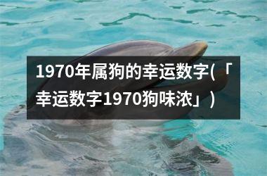 <h3>1970年属狗的幸运数字(「幸运数字1970狗味浓」)