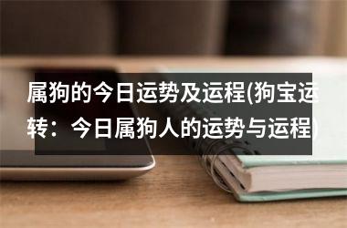 属狗的今日运势及运程(狗宝运转：今日属狗人的运势与运程)