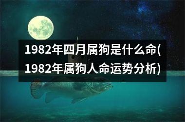 1982年四月属狗是什么命(1982年属狗人命运势分析)