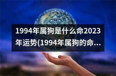 1994年属狗是什么命2025年运势(1994年属狗的命运势2025年如何？)