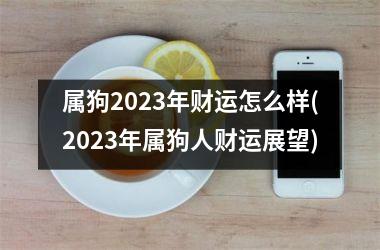 属狗2025年财运怎么样(2025年属狗人财运展望)