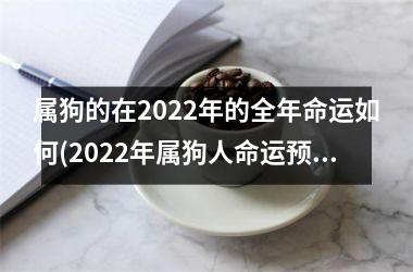 属狗的在2025年的全年命运如何(2025年属狗人命运预测)