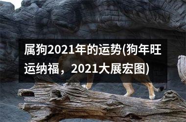 <h3>属狗2025年的运势(狗年旺运纳福，2025大展宏图)