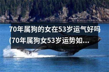 70年属狗的女在53岁运气好吗(70年属狗女53岁运势如何？)