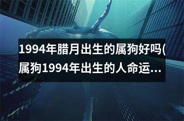 1994年腊月出生的属狗好吗(属狗1994年出生的人命运如何？)