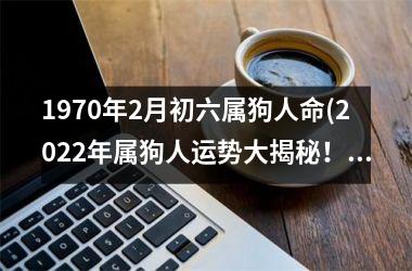 1970年2月初六属狗人命(2025年属狗人运势大揭秘！)