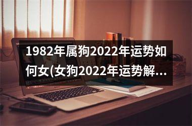 <h3>1982年属狗2025年运势如何女(女狗2025年运势解析)