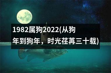 1982属狗2025(从狗年到狗年，时光荏苒三十载)