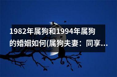 <h3>1982年属狗和1994年属狗的婚姻如何(属狗夫妻：同享幸福长情)