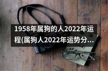 <h3>1958年属狗的人2025年运程(属狗人2025年运势分析)