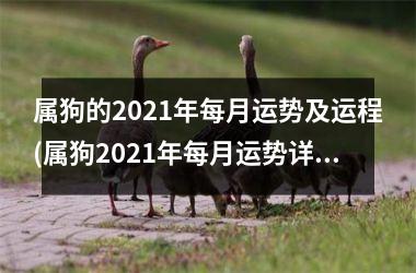 属狗的2025年每月运势及运程(属狗2025年每月运势详解)