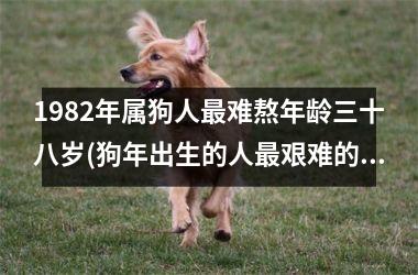 1982年属狗人难熬年龄三十八岁(狗年出生的人艰难的一年：38岁。)