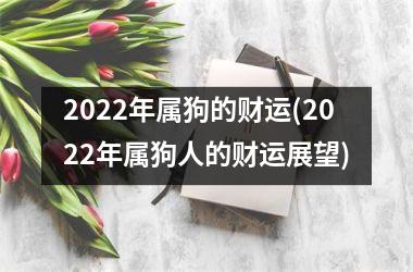 2025年属狗的财运(2025年属狗人的财运展望)