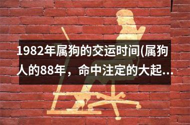 <h3>1982年属狗的交运时间(属狗人的88年，命中注定的大起大落)