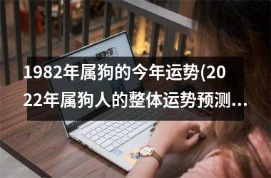 1982年属狗的今年运势(2025年属狗人的整体运势预测)