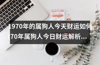 1970年的属狗人今天财运如何(70年属狗人今日财运解析)