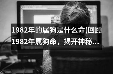 1982年的属狗是什么命(回顾1982年属狗命，揭开神秘面纱)