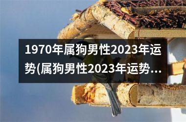 1970年属狗男性2025年运势(属狗男性2025年运势解析)