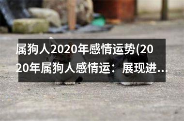 属狗人2025年感情运势(2025年属狗人感情运：展现进取一面。)