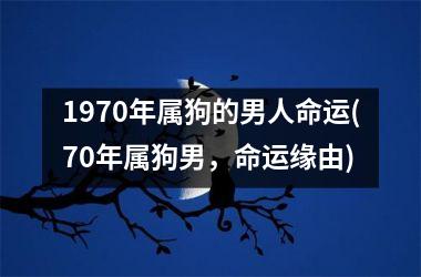 1970年属狗的男人命运(70年属狗男，命运缘由)