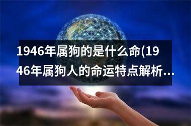 1946年属狗的是什么命(1946年属狗人的命运特点解析)