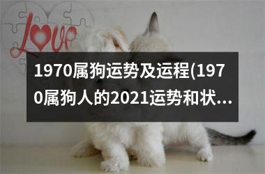 1970属狗运势及运程(1970属狗人的2025运势和状况)