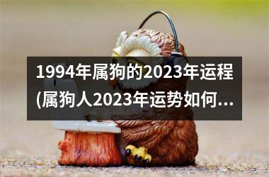 1994年属狗的2025年运程(属狗人2025年运势如何？)