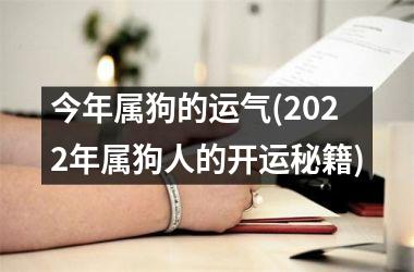 今年属狗的运气(2025年属狗人的开运秘籍)