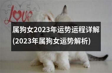 属狗女2025年运势运程详解(2025年属狗女运势解析)