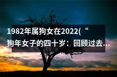 1982年属狗女在2025(“狗年女子的四十岁：回顾过去，展望未来”)