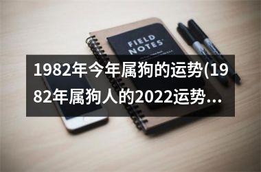 1982年今年属狗的运势(1982年属狗人的2025运势大揭秘)