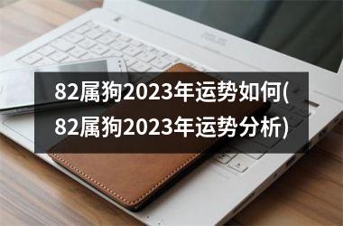 82属狗2025年运势如何(82属狗2025年运势分析)