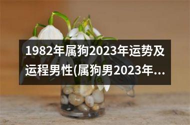 1982年属狗2025年运势及运程男性(属狗男2025年运势及运程预测)