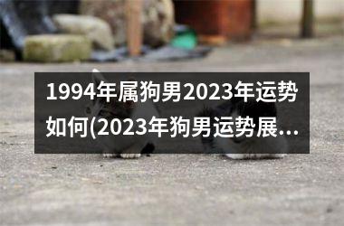 <h3>1994年属狗男2025年运势如何(2025年狗男运势展望)