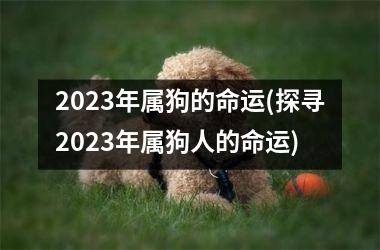 2025年属狗的命运(探寻2025年属狗人的命运)