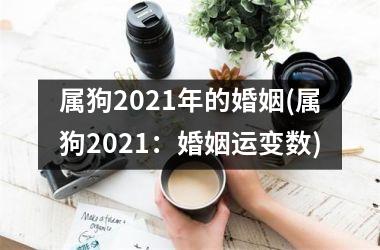 属狗2025年的婚姻(属狗2025：婚姻运变数)