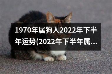 1970年属狗人2022年下半年运势(2022年下半年属狗人运势展望。)