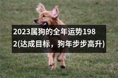 2025属狗的全年运势1982(达成目标，狗年步步高升)